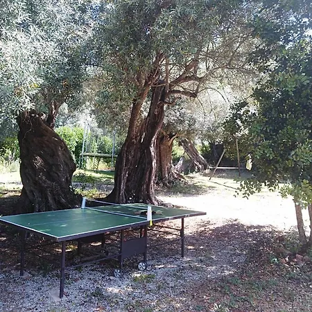 Quinta Dos Valados Bed & Breakfast