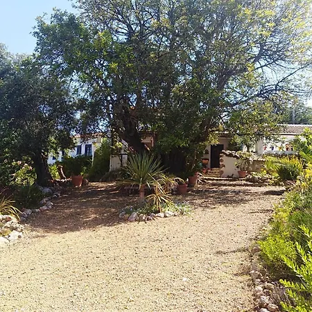 Quinta Dos Valados Bed & Breakfast